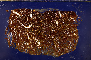 Cross Polarized, E23634