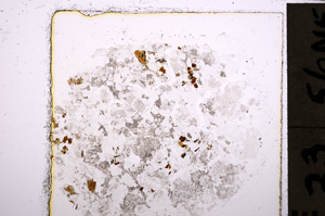 Plane Polarized, E23656