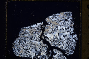 Cross Polarized, E23666