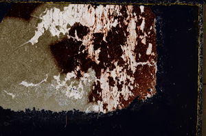 Cross Polarized, E23675