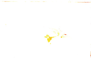 Plane Polarized, E23679