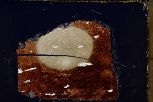 Cross Polarized, E23682
