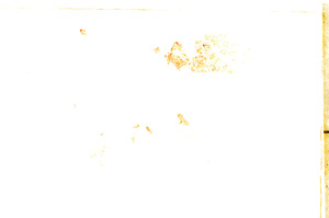 Plane Polarized, E23688
