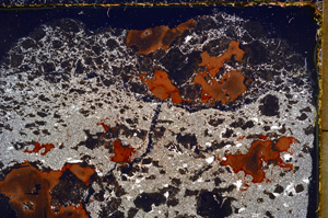 Cross Polarized, E23691