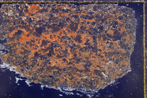 Cross Polarized, E23694