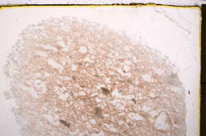 Plane Polarized, E23696
