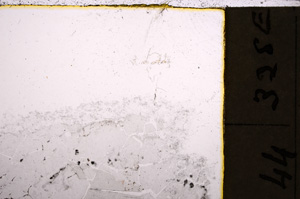 Plane Polarized, E23697