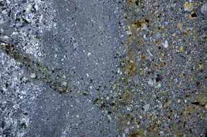 Cross Polarized, E23708