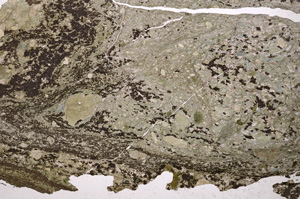 Plane Polarized, E23763