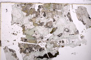 Plane Polarized, E23765