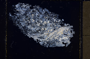 Cross Polarized, E23766