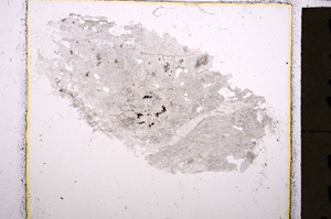 Plane Polarized, E23766