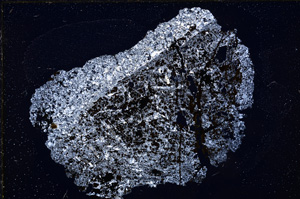 Cross Polarized, E23772