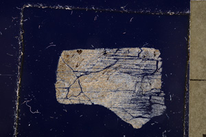 Cross Polarized, E23774