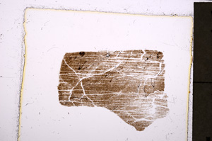 Plane Polarized, E23774