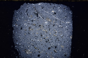 Cross Polarized, E23777