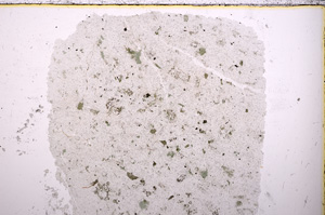 Plane Polarized, E23777