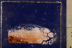 Cross Polarized, E23782