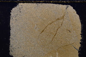 Cross Polarized, E23796