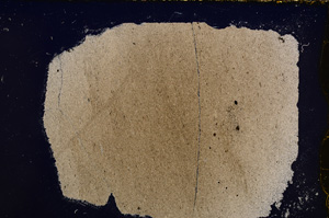 Cross Polarized, E23799