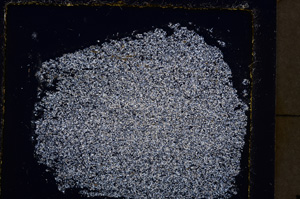 Cross Polarized, E23802