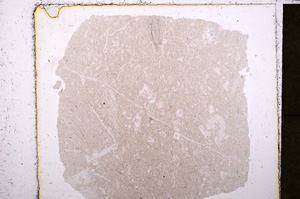 Plane Polarized, E23820