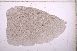 Plane Polarized, E23826