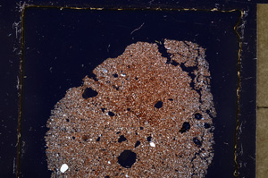 Cross Polarized, E23832