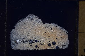 Cross Polarized, E23833