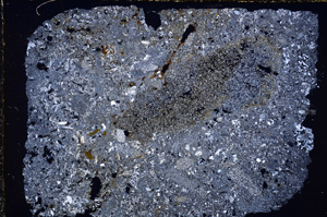 Cross Polarized, E23835