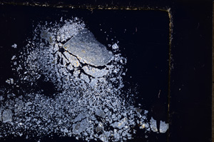 Cross Polarized, E23836