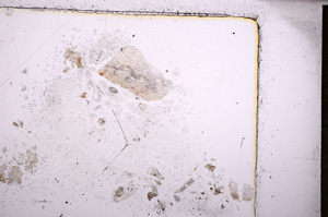 Plane Polarized, E23836