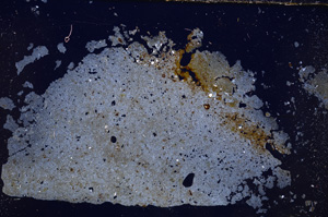 Cross Polarized, E23837