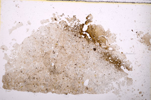 Plane Polarized, E23837