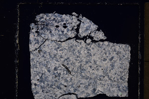 Cross Polarized, E23838