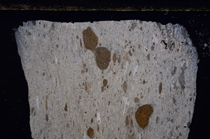 Cross Polarized, E23840