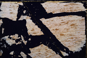 Cross Polarized, E23841