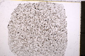 Plane Polarized, E23846