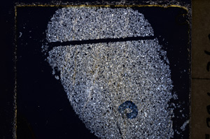 Cross Polarized, E23875