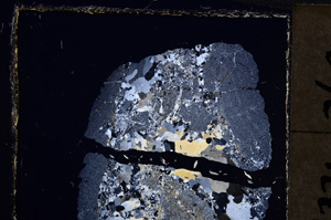 Cross Polarized, E23877