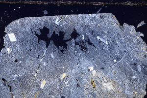 Cross Polarized, E23885