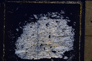 Cross Polarized, E23887