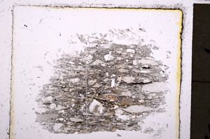 Plane Polarized, E23887