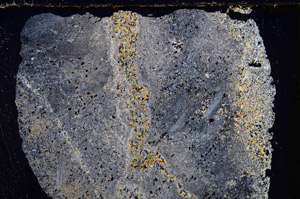 Cross Polarized, E23889