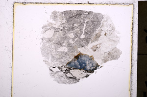 Plane Polarized, E23898