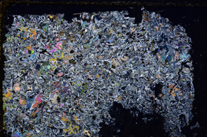 Cross Polarized, E23936