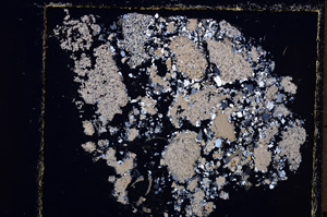 Cross Polarized, E23938