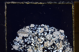 Cross Polarized, E23939