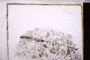 Plane Polarized, E23939