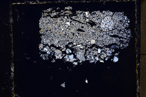 Cross Polarized, E23941